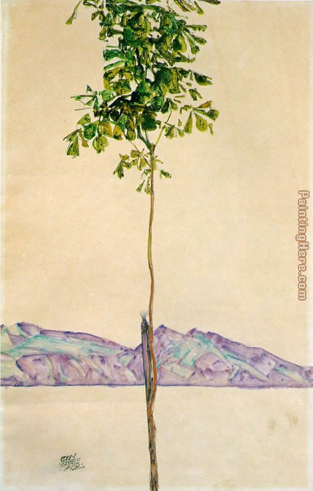 Chestnut Tree at Lake Constance